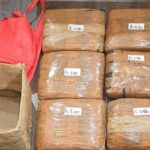 Jaringan Narkoba Sumatera Terbongkar, Polda Metro Sita 6 Kg Ganja